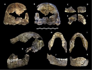 Homo Naledi, resti fossili del cranio, Sudafrica