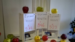 Pomaria, Val di Non, edizione 2015, le mele più pesanti
