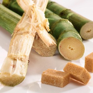 canna da zucchero e zollette di zucchero di canna