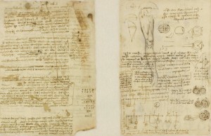 Codice Atlantico di Leonardo, due pagine di anatomia