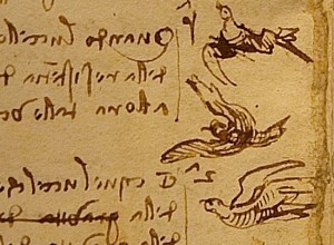 Codice sul volo degli uccelli di Leonardo da Vinci, dettaglio