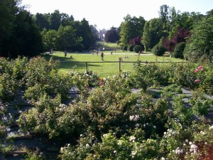 Milano, parco cittadino