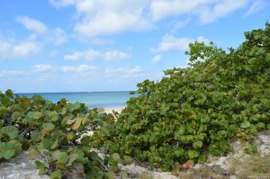 Isole Cayman, Grand Cayman, Seven Mile Beach