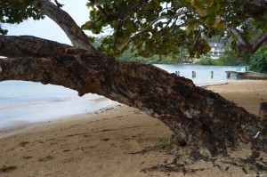 Giamaica, spiaggia Ocho Rios
