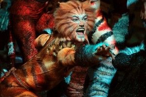 Cats il musical