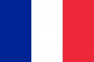 Bandiera della Francia