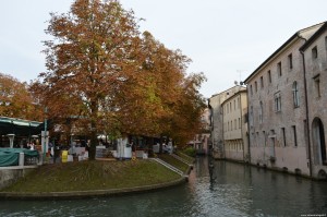 Treviso, Isola della Pescheria