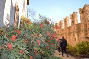 Fontanellato, Rocca Sanvitale, Giardino di Flora