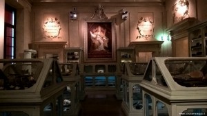 Bologna, Palazzo Poggi, collezioni Aldrovandi