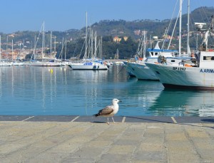 Lerici