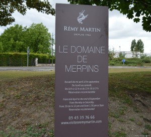 Cognac, Tenuta Remy Martin, visite