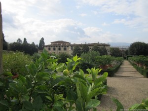 Villa e Giardino medicei di Castello, Firenze