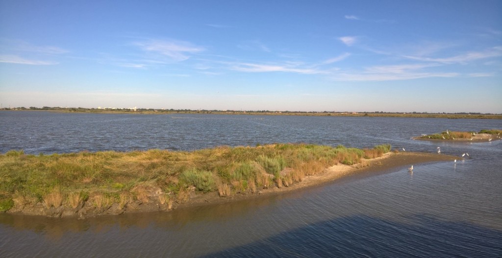 valli di comacchio