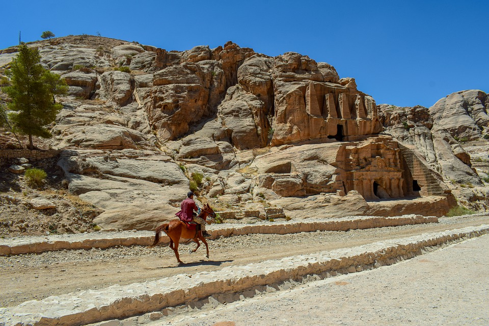 Antropocene e la mostra multimediale a Bologna