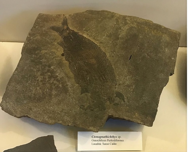 patrimonio della umanità in lombardia