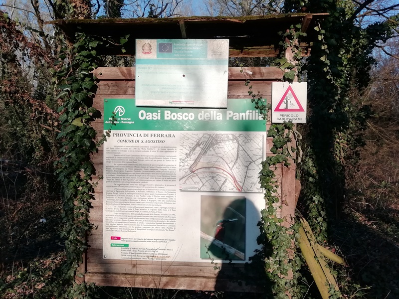 bosco della panfilia