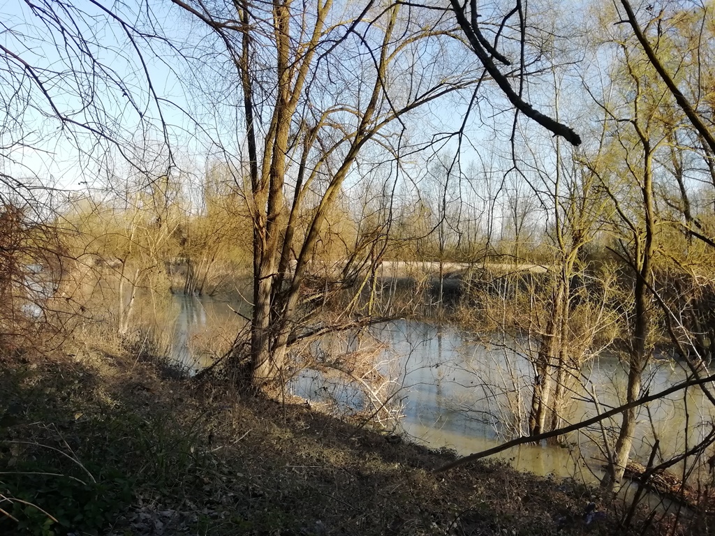 Coronavirus cosa ci insegna