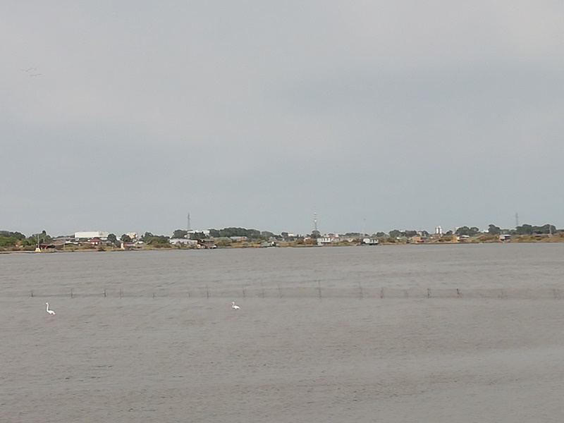 valli di comacchio