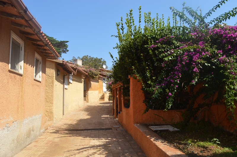 isola del giglio e giannutri