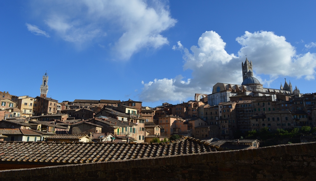 Monet , il pittore che amava dipingere le ninfee