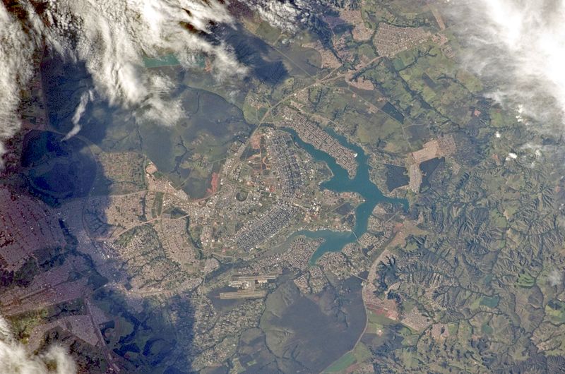 Il pappagallo troppo pesante per volare