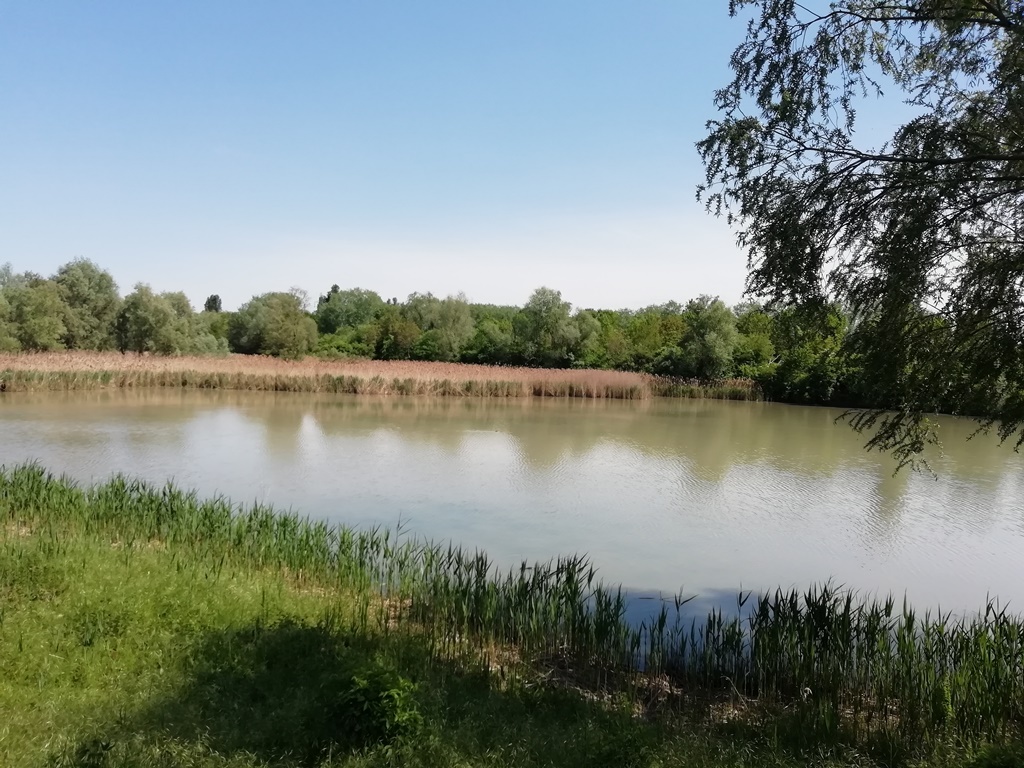 Arnaldo Pomodoro a Soliera