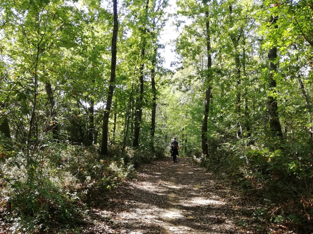 Trekking al Parco Abbazia di Monteveglio