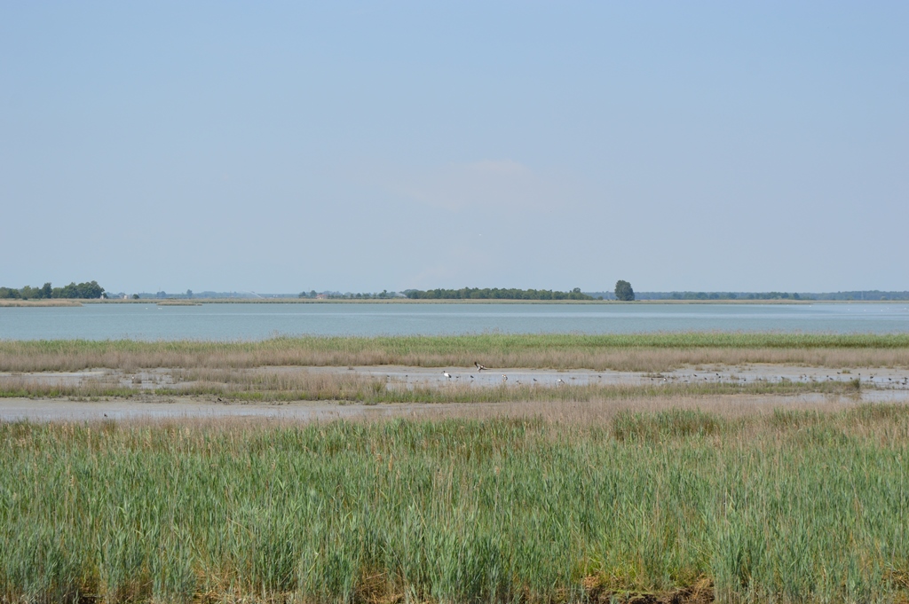 Vicopisano il gioiello dei pisani