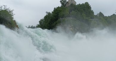 Lucerna, Rheinfall, Mainau : itinerario svizzero tedesco tra laghi e cascate