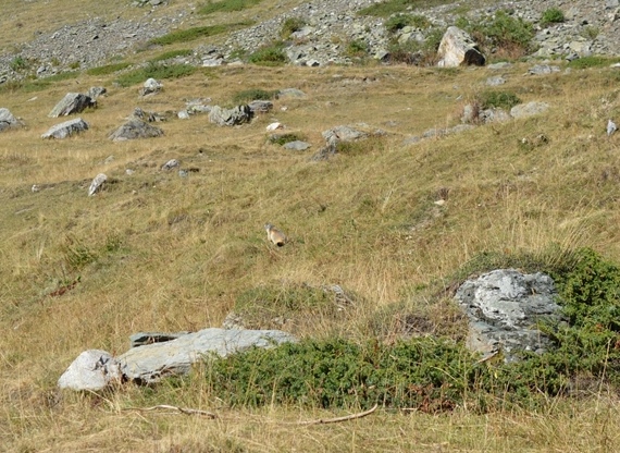 val di rhemes