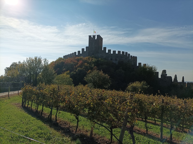 soave