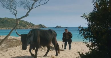 La vita va così al cinema