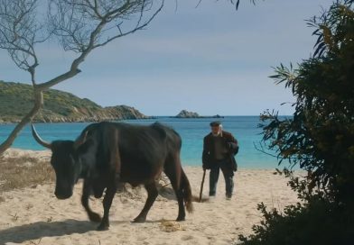 La vita va così al cinema