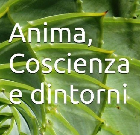 Perfect days un film di Wim Wenders