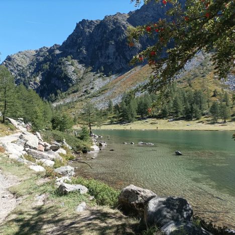 Rocca di Stellata e Abbazia di Felonica: lungo le terre d’acqua, viaggio tra i borghi del Po